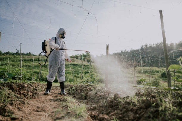 Best Commercial Pest Control Services  in Aurora, IN