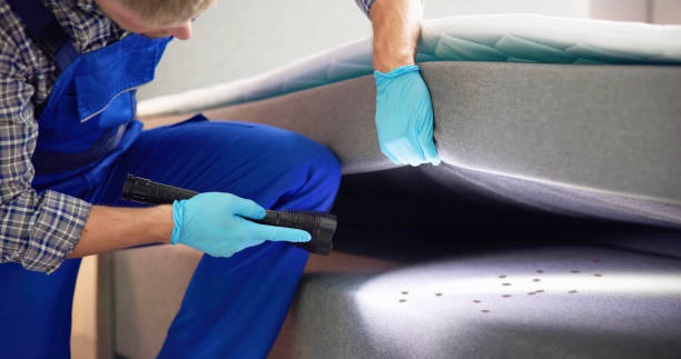 Best Wasp Removal Services  in Aurora, IN