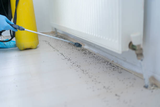 Best Emergency Pest Control  in Aurora, IN