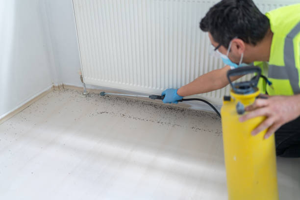 Best Affordable Pest Control Services  in Aurora, IN