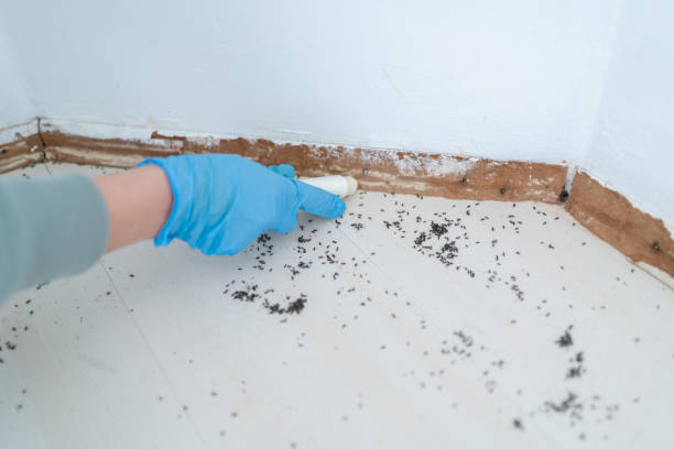 Best Affordable Pest Control Services  in Aurora, IN