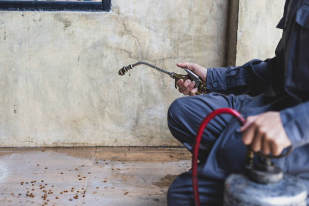 Best Pest Control Near Me  in Aurora, IN